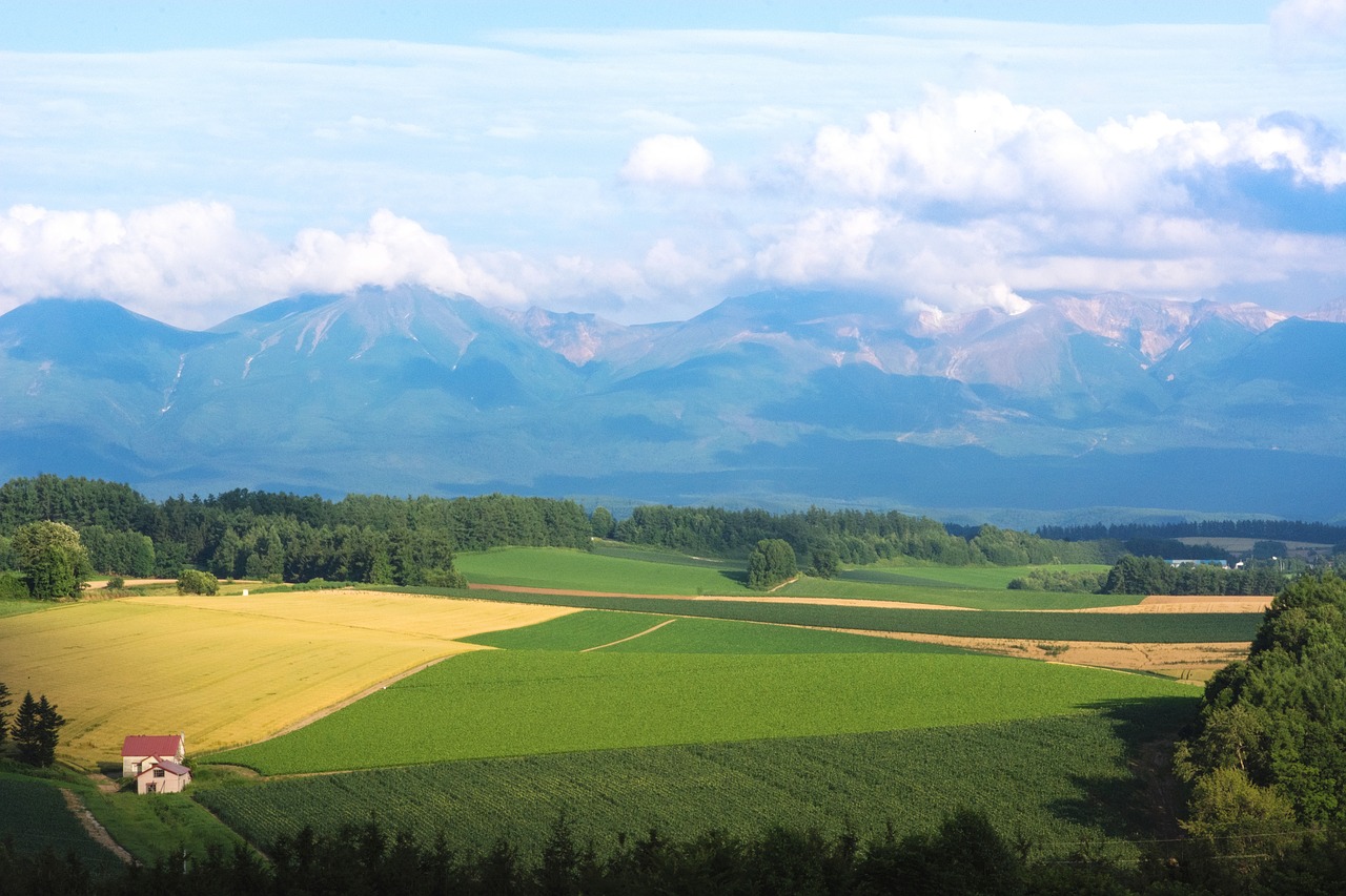 Image - japan hokkaido biei country