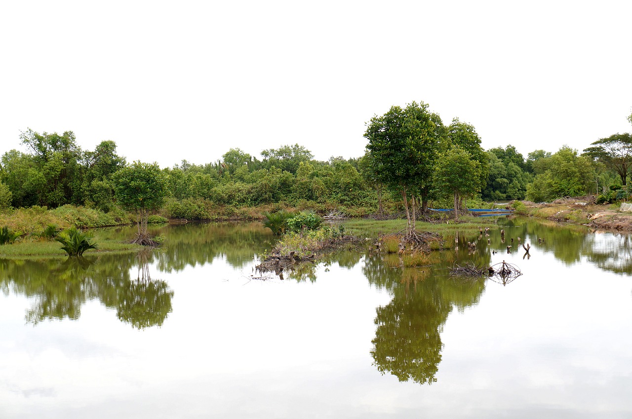 Image - the shrimp farm reflect stilling