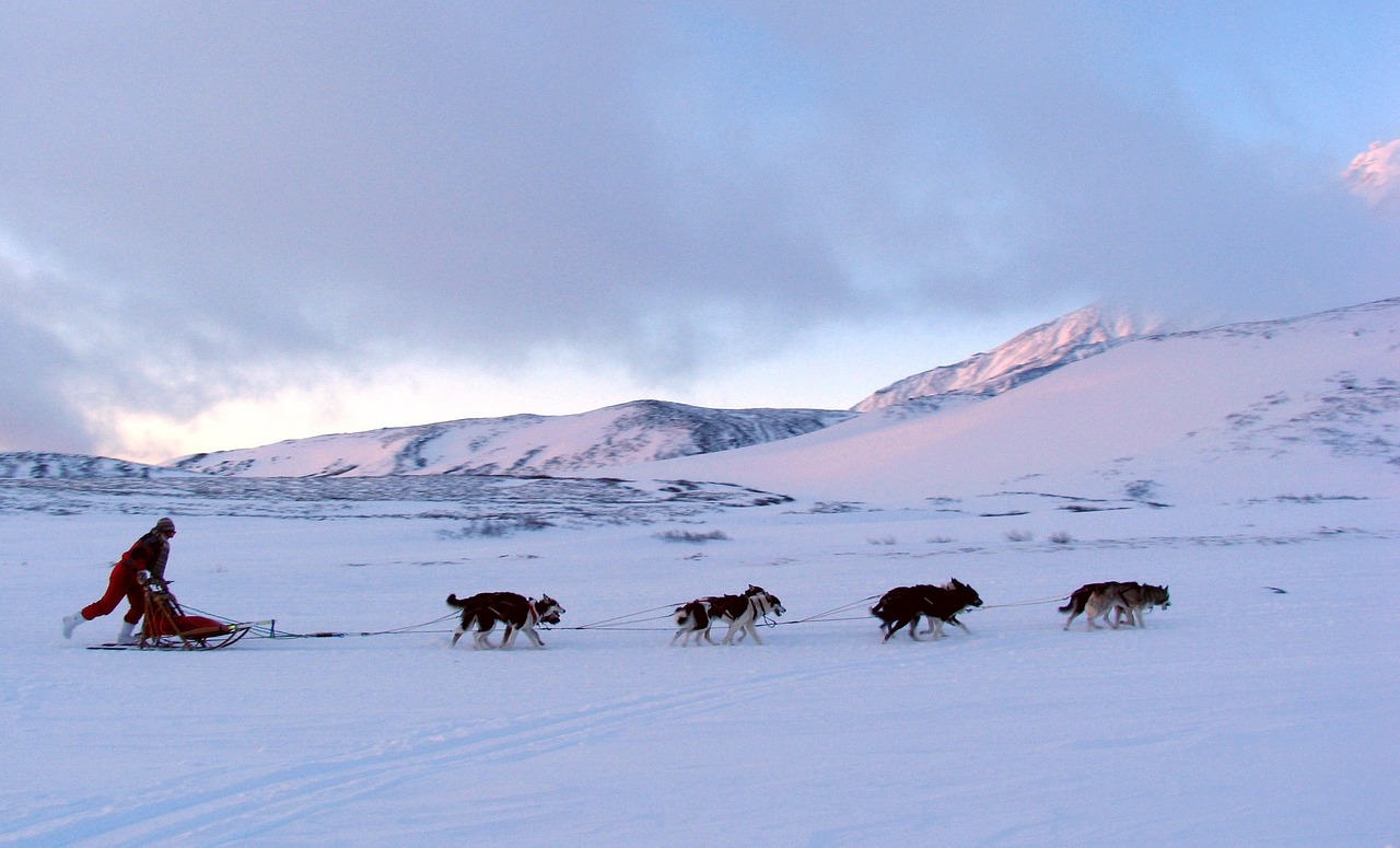 Image - volcano the foot dog sled mountains