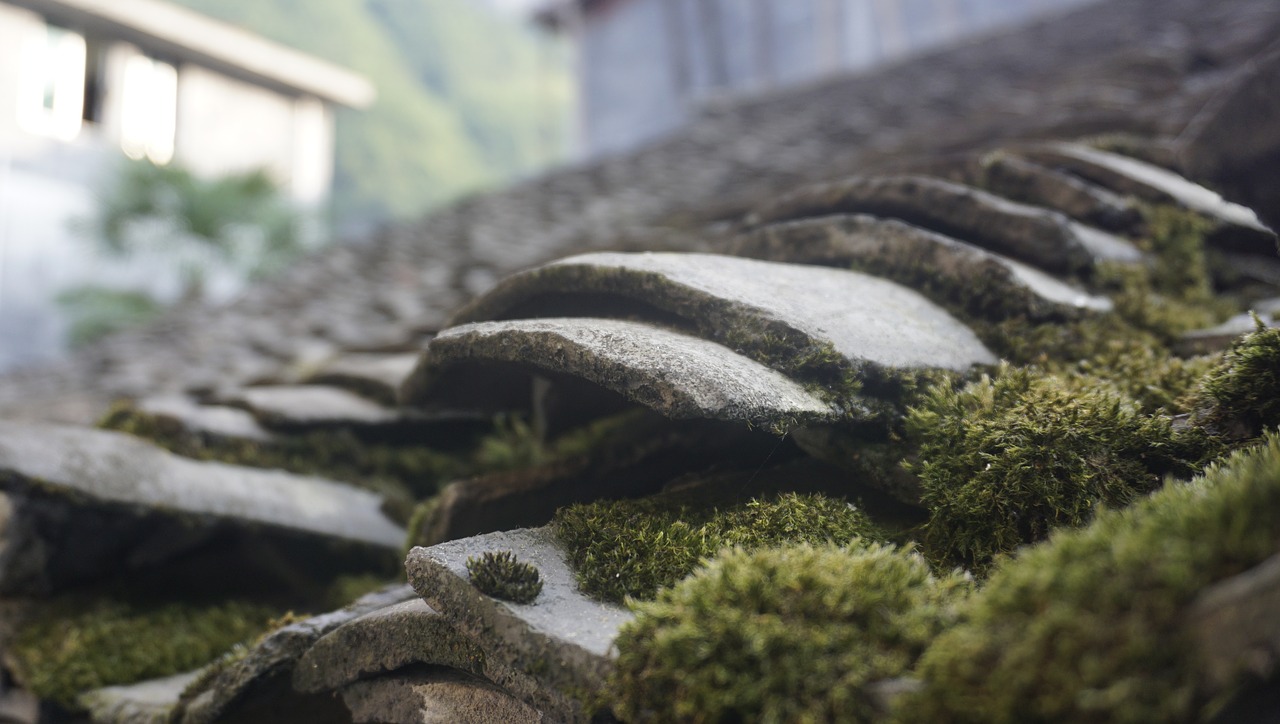 Image - tile moss ancient