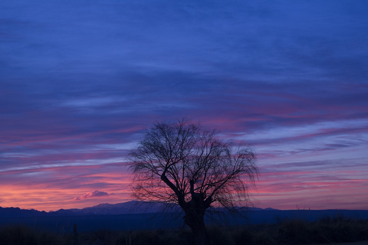 Image - sunset argentina mendoza nature