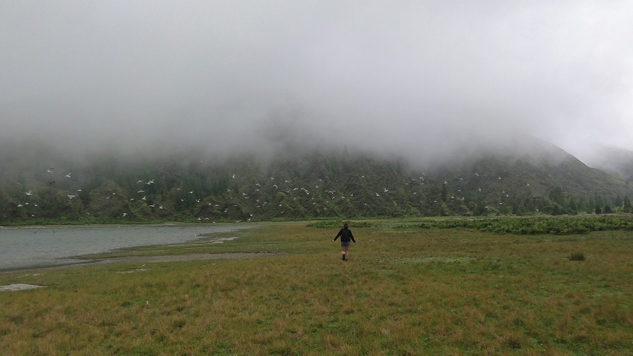 Image - run nature fog mist landscape