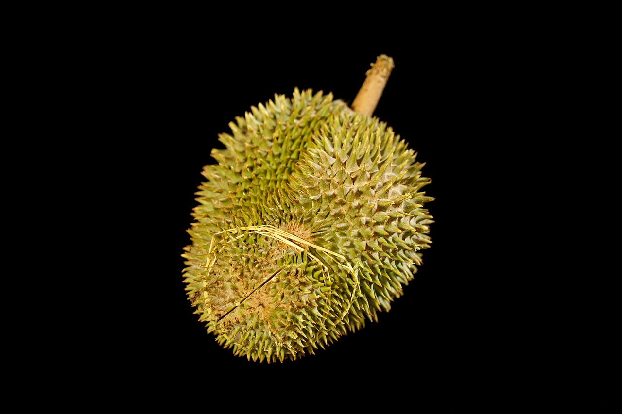 Image - durian fruit king of fruits