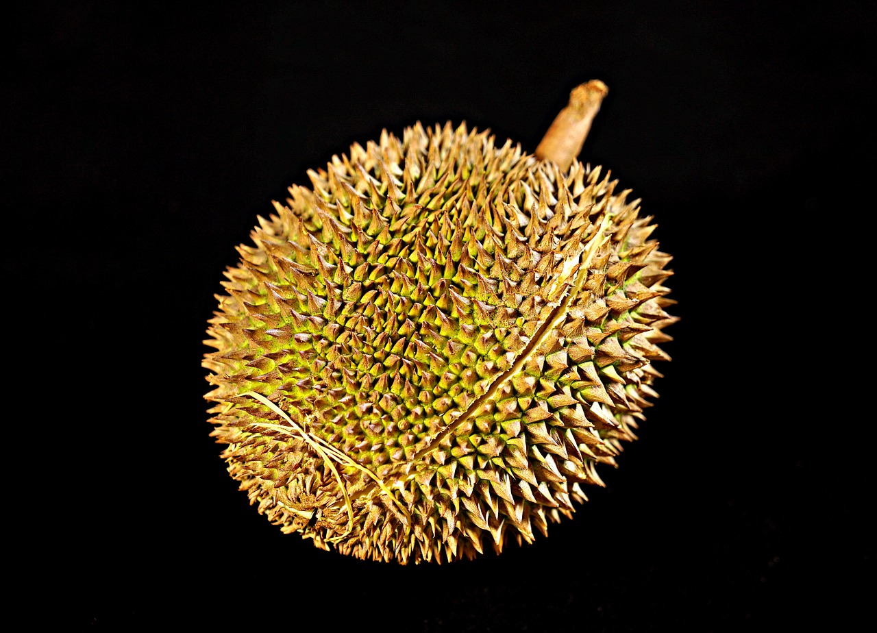 Image - durian fruit king of fruits