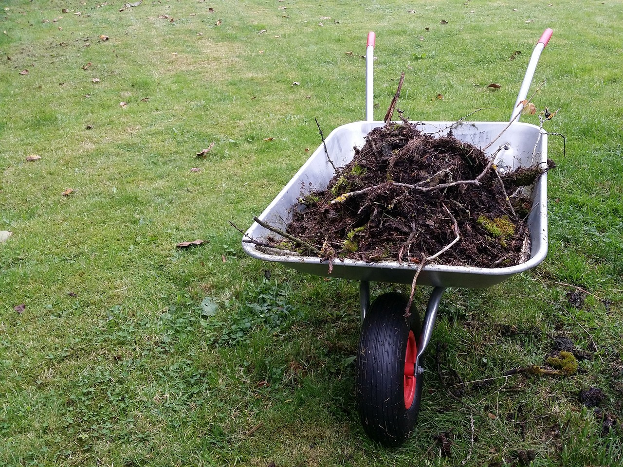 Image - wheelbarrow gardening garden