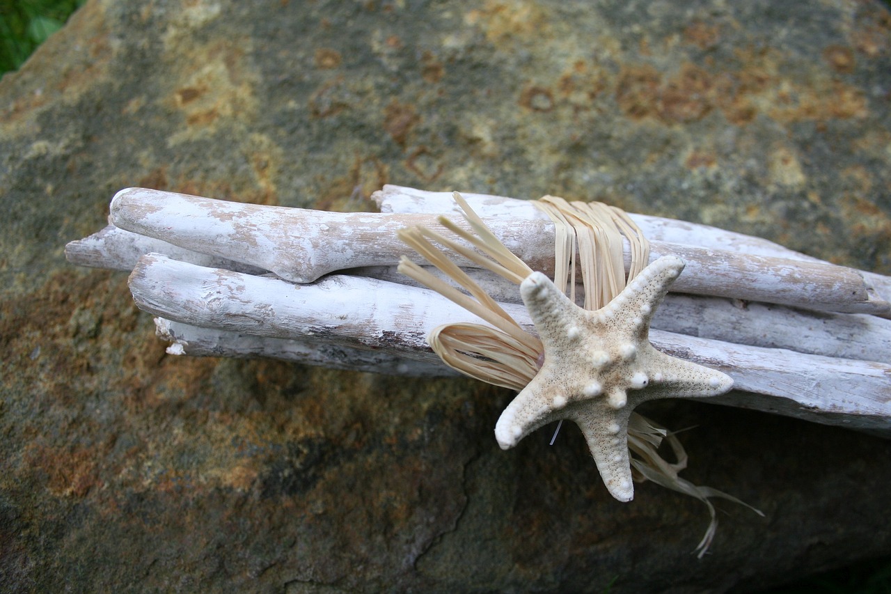 Image - starfish deco decoration beach