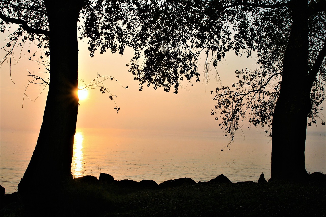 Image - beach lake bodensee sunrise autumn
