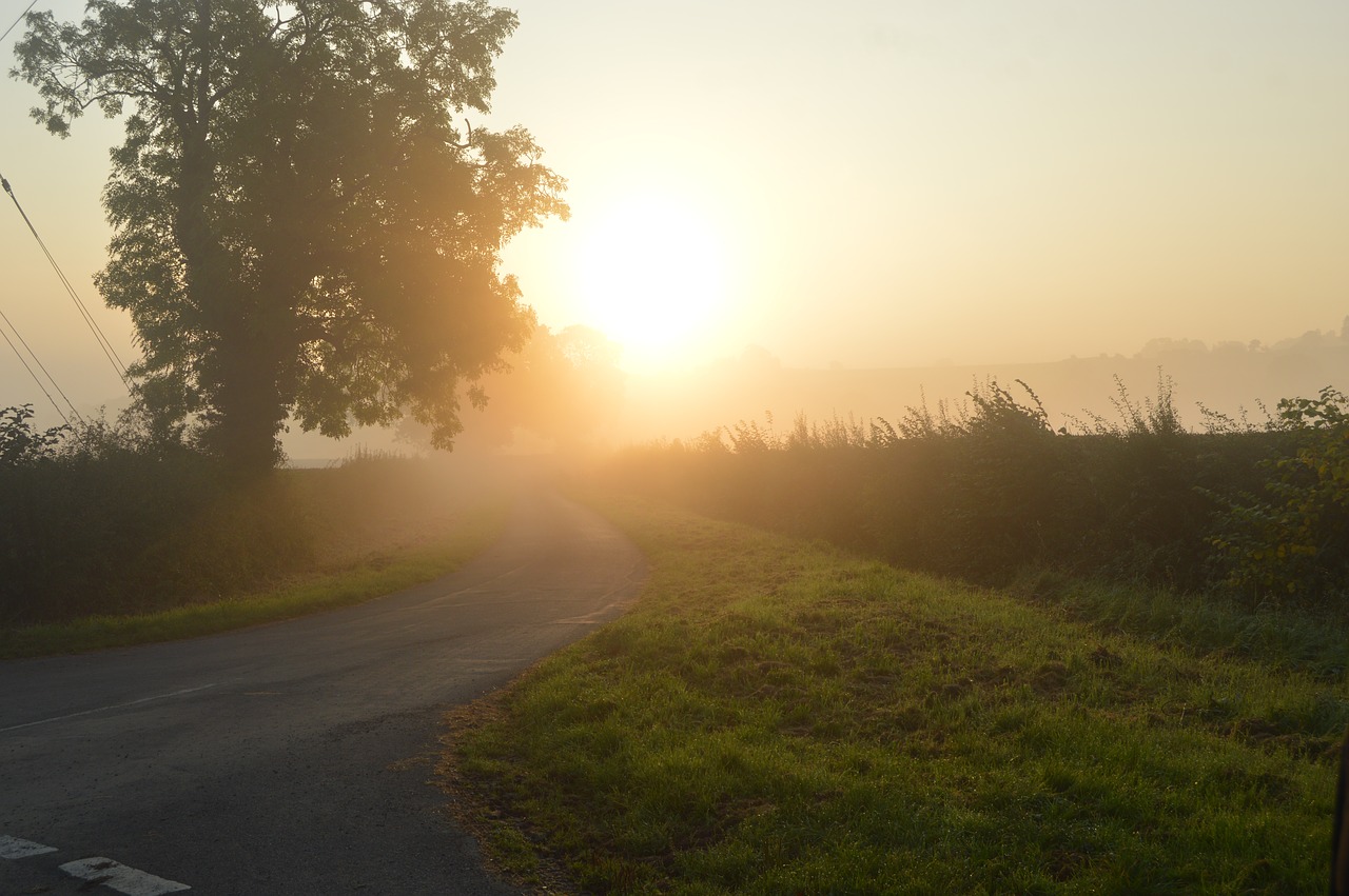 Image - morning walk outdoors sunrise