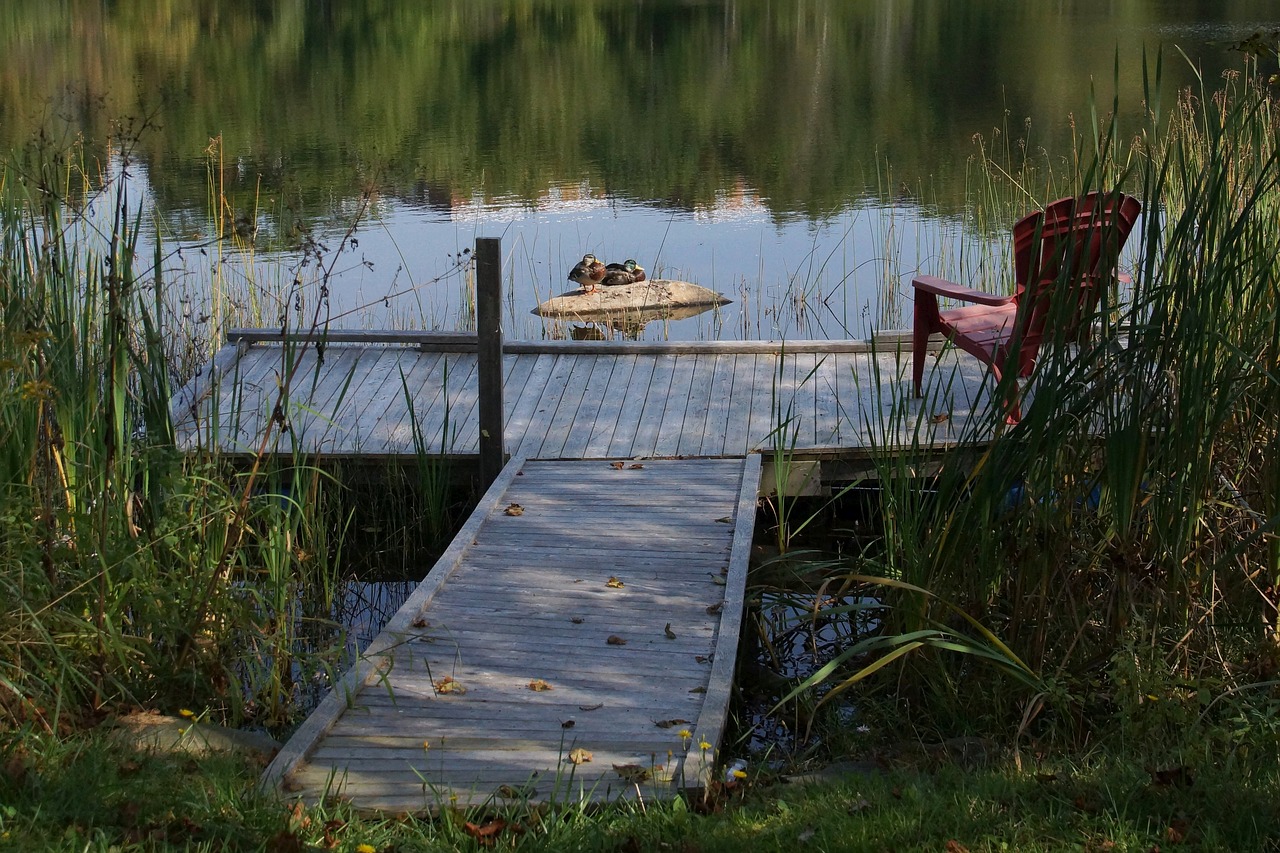 Image - lake ducks dock chair