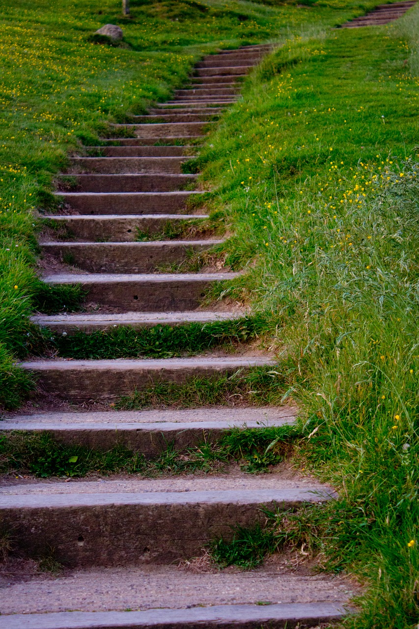 Image - trap grass act stone green nature