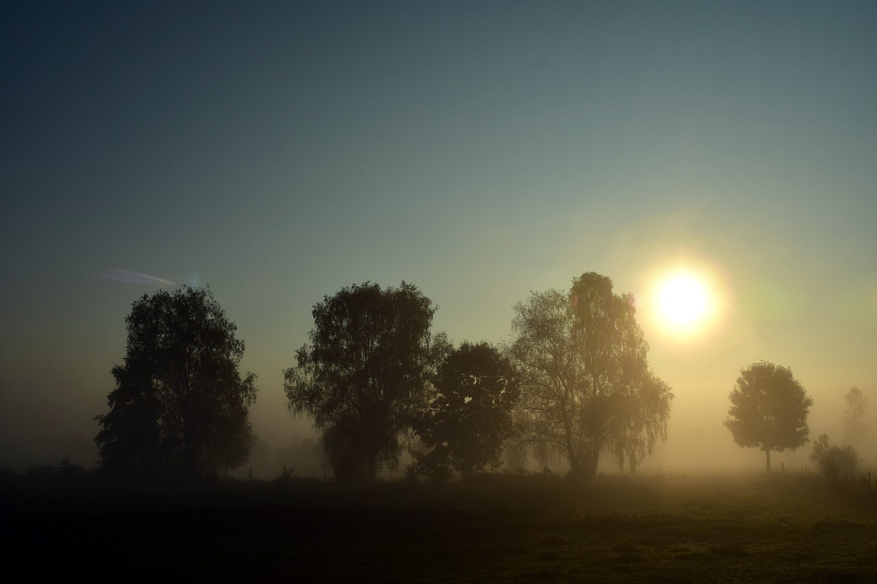 Image - fog landscape nature morning mist