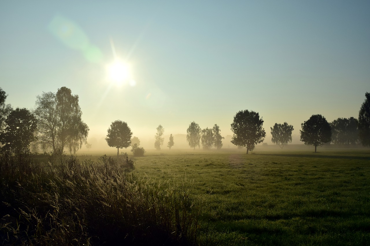 Image - fog landscape nature morning mist