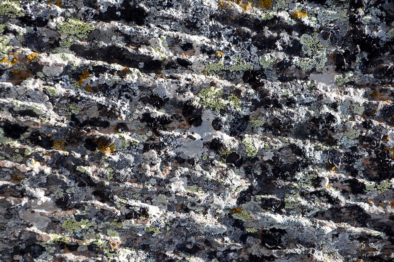 Image - kennedy stone texture composition