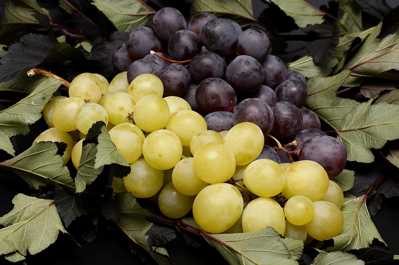 Image - grapes fruits fruit nature blue