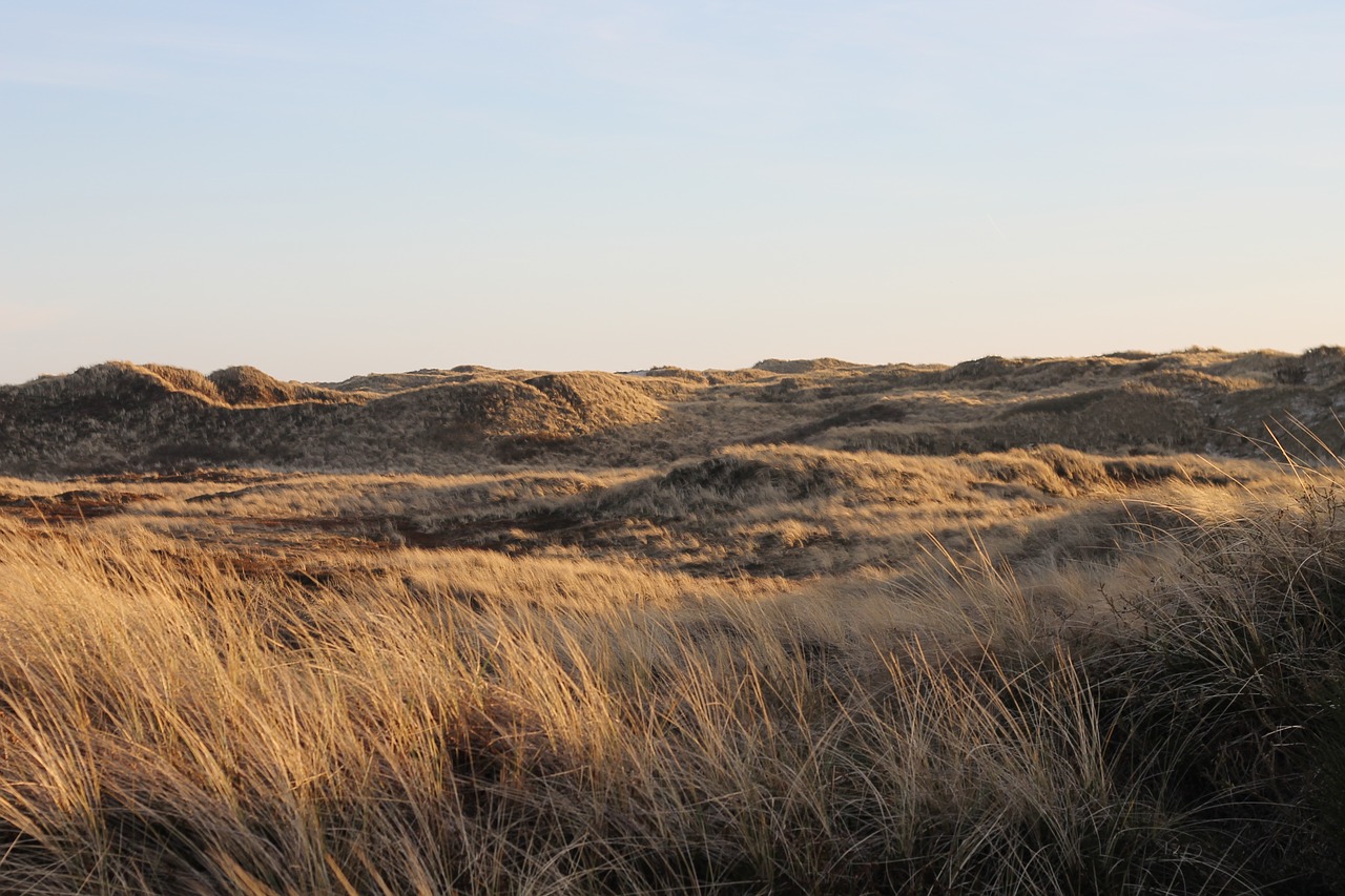 Image - denmark holiday dunes north sea