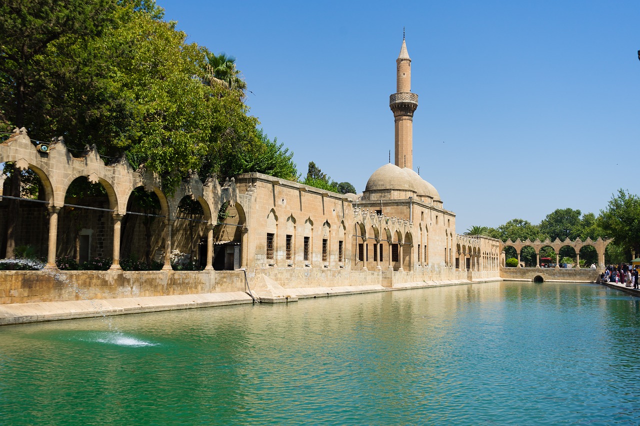 Image - sanliurfa urfa balikligöl carp