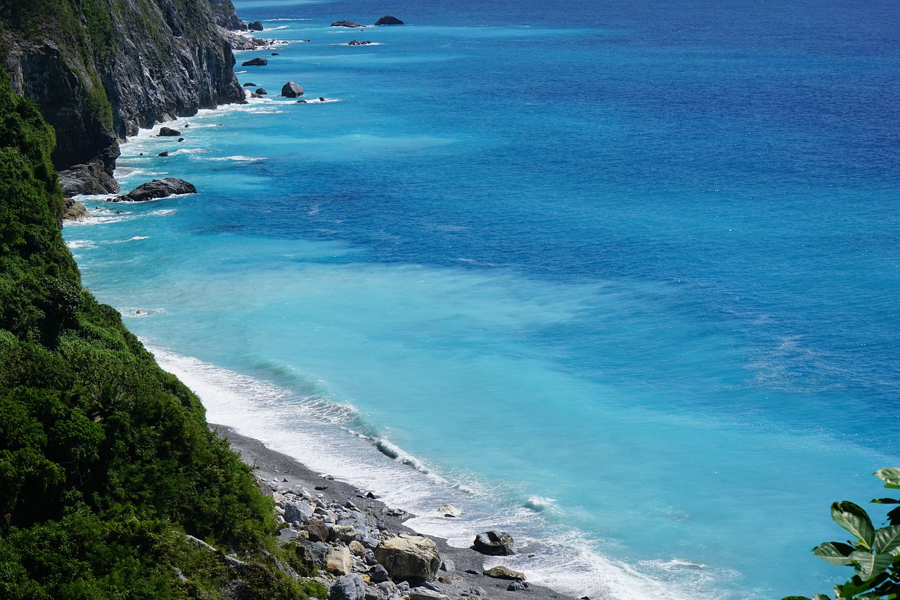 Image - ocean blue tree sky sea beach