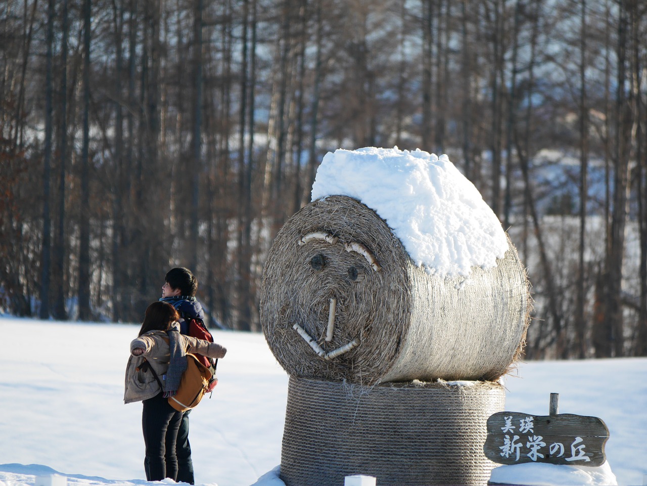 Image - hokkaido biei foppery date