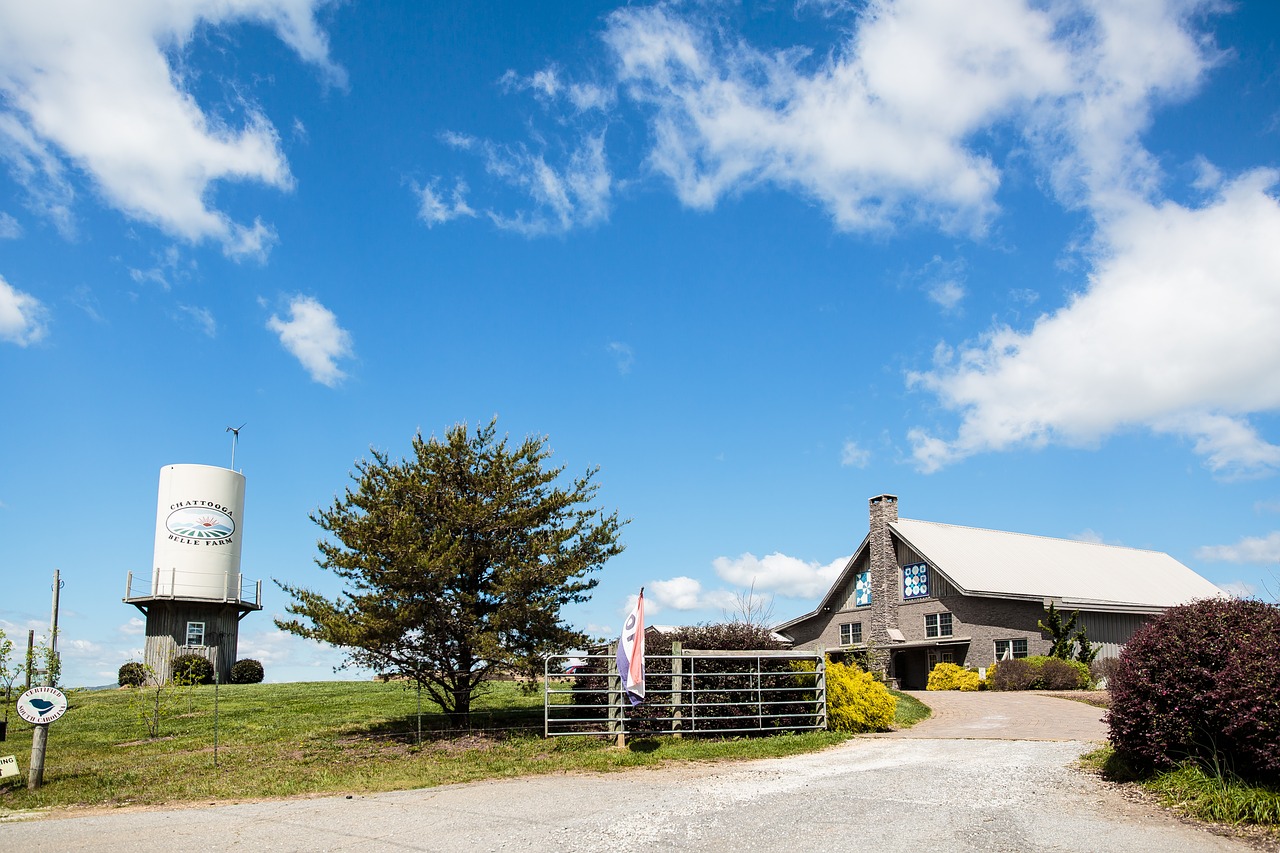 Image - wedding venue winery reception