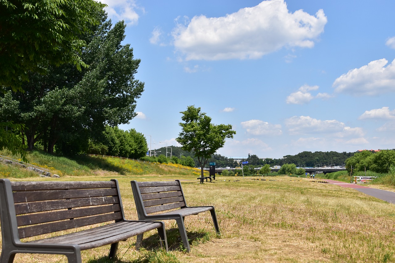 Image - landscape war cbd bench sky cloud