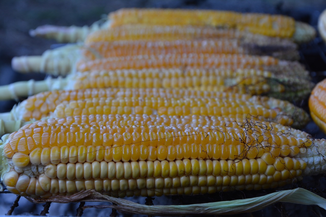Image - egypt lazut grill natural product