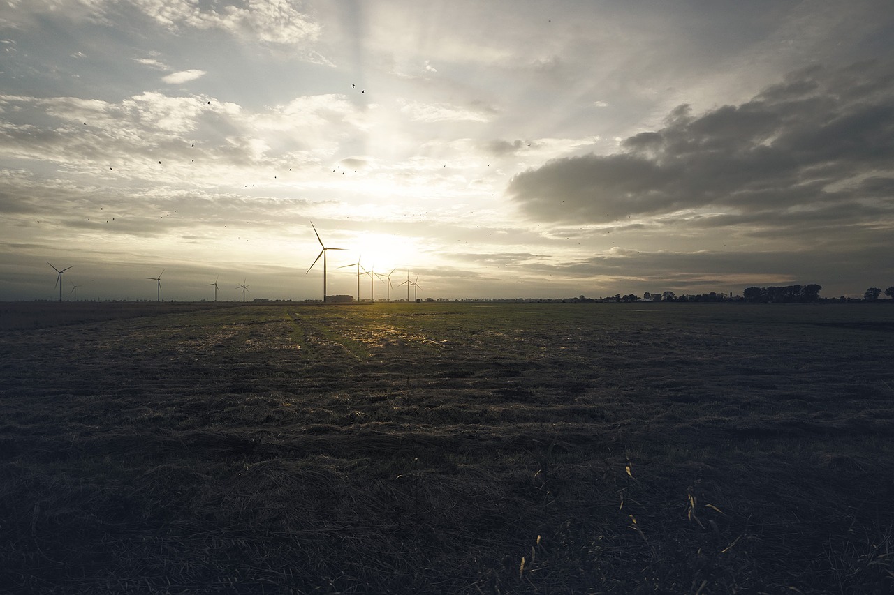 Image - sunset the windmills evening nature