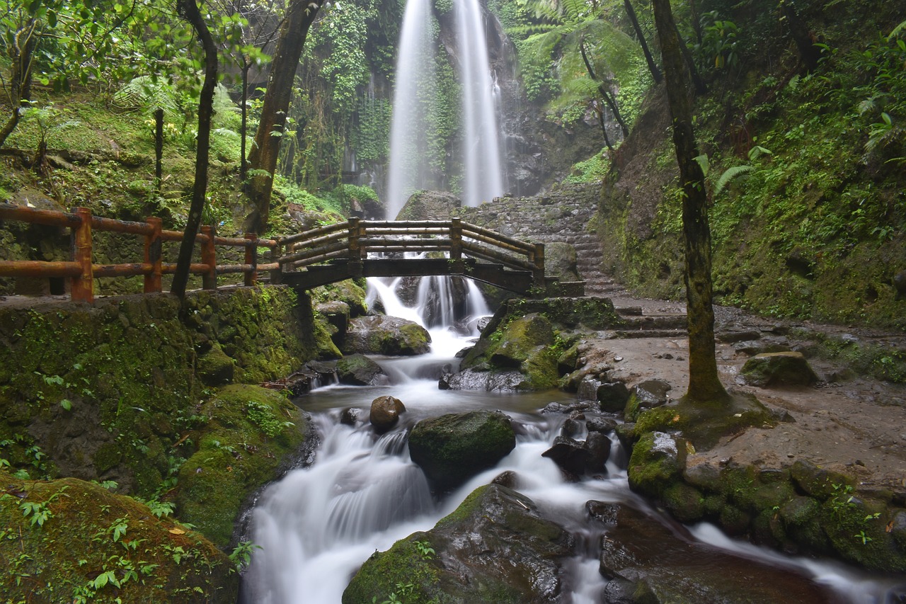 Image - waterfall cascade nature landscape