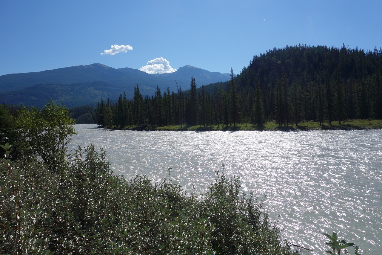 Image - river canada back light nature