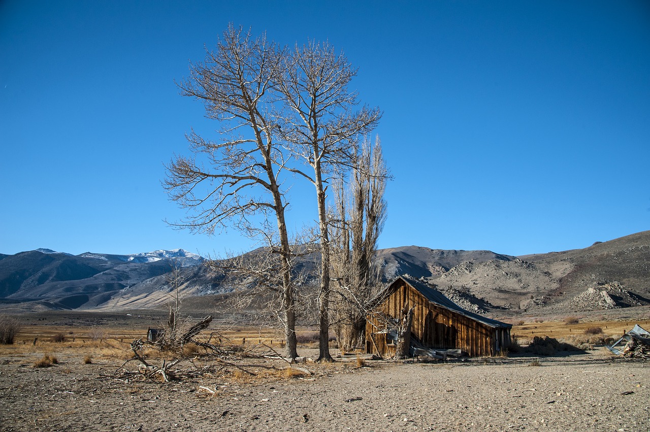 Image - hut tree landscape scale sky