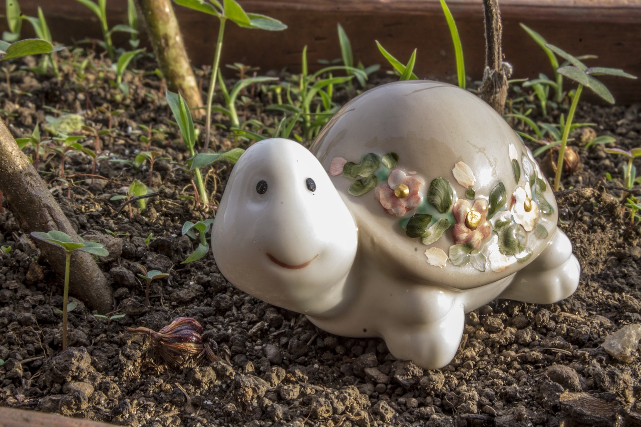Image - turtle ceramic of decoration nice