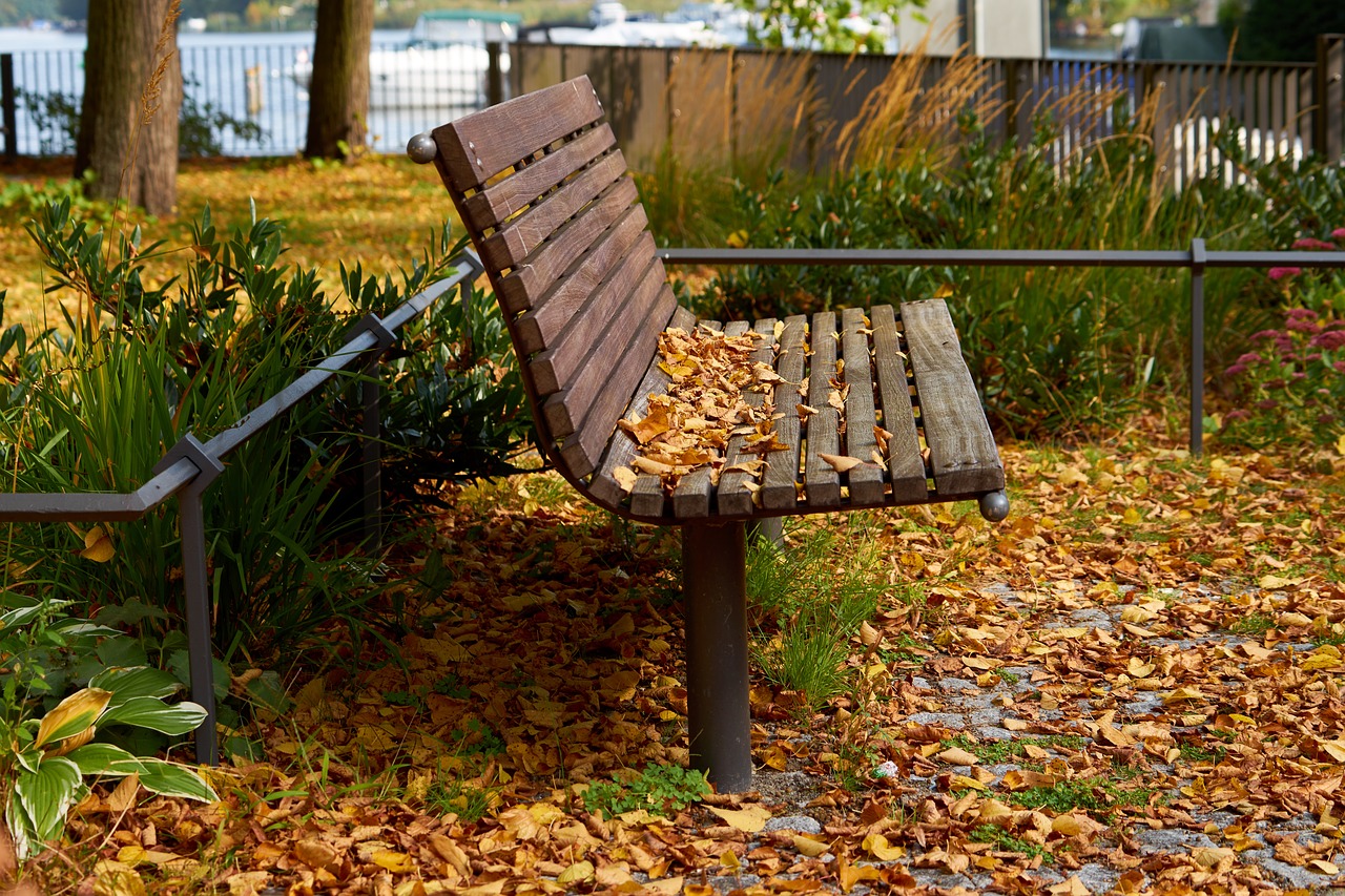 Image - autumn time of year bank leaves