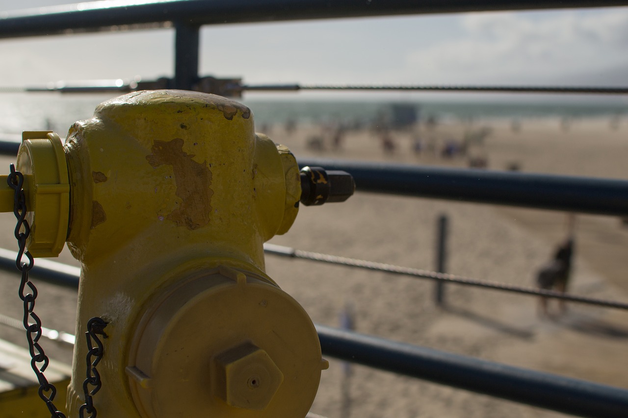 Image - hydrant pier beach santa monica