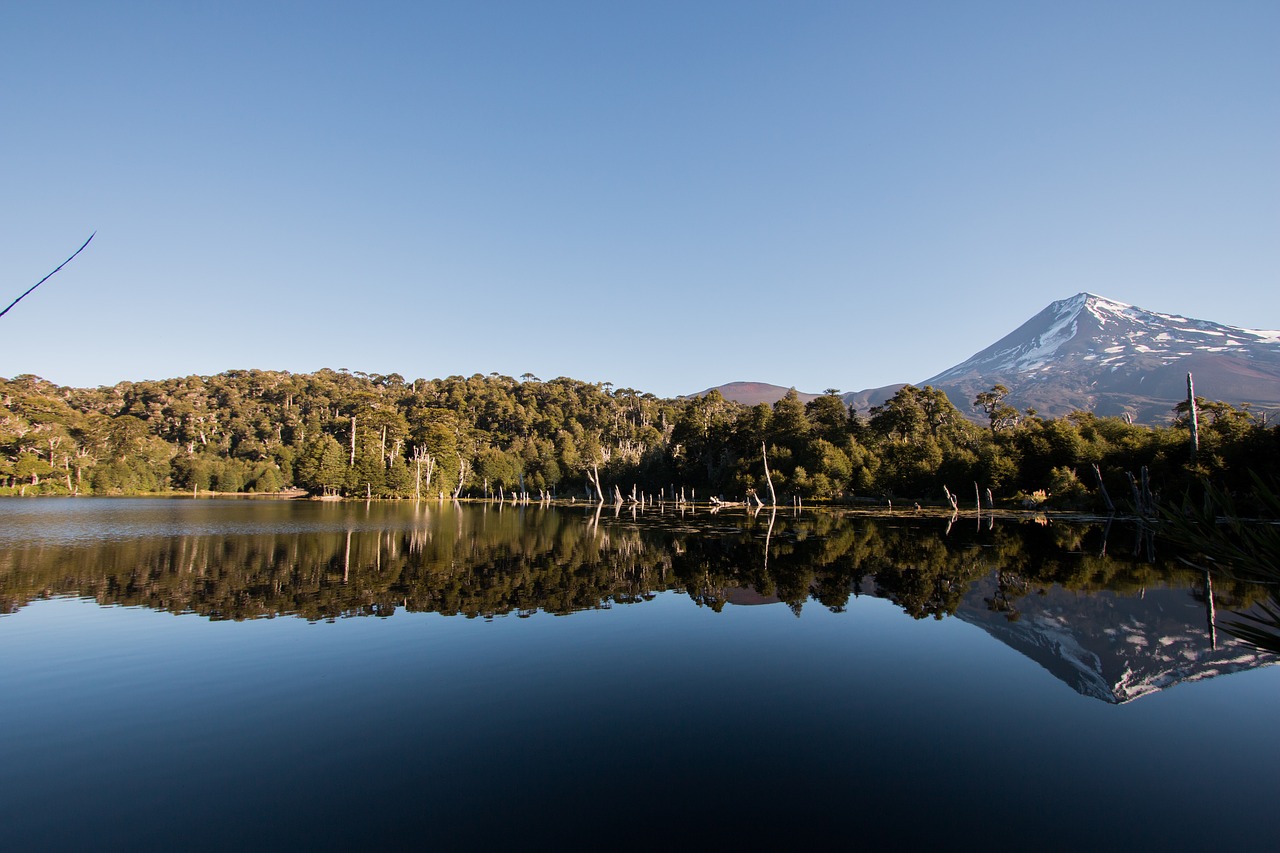 Image - chile region de la araucania