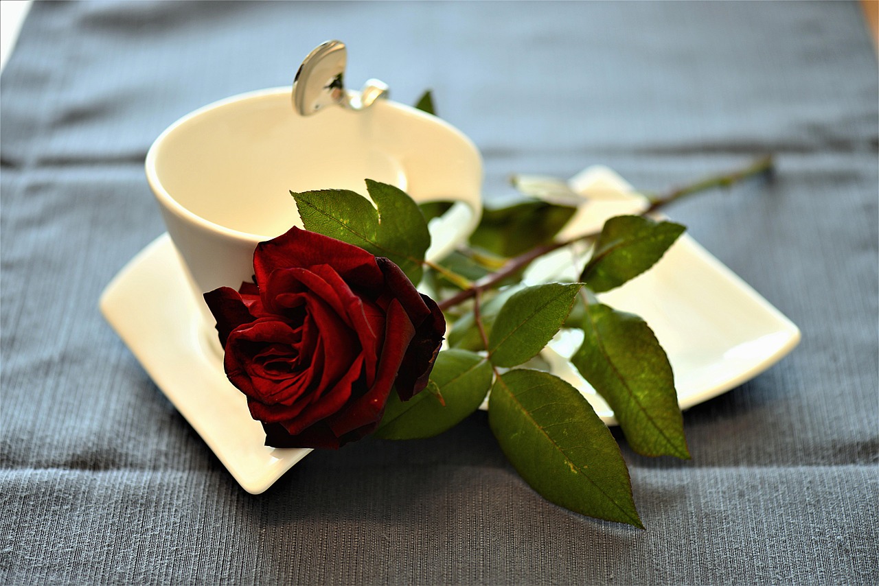 Image - rose coffee cup cover romantic