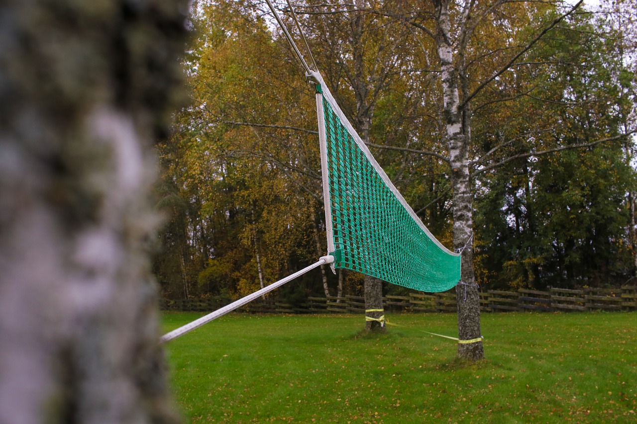 Image - volleyball net sport outdoor autumn