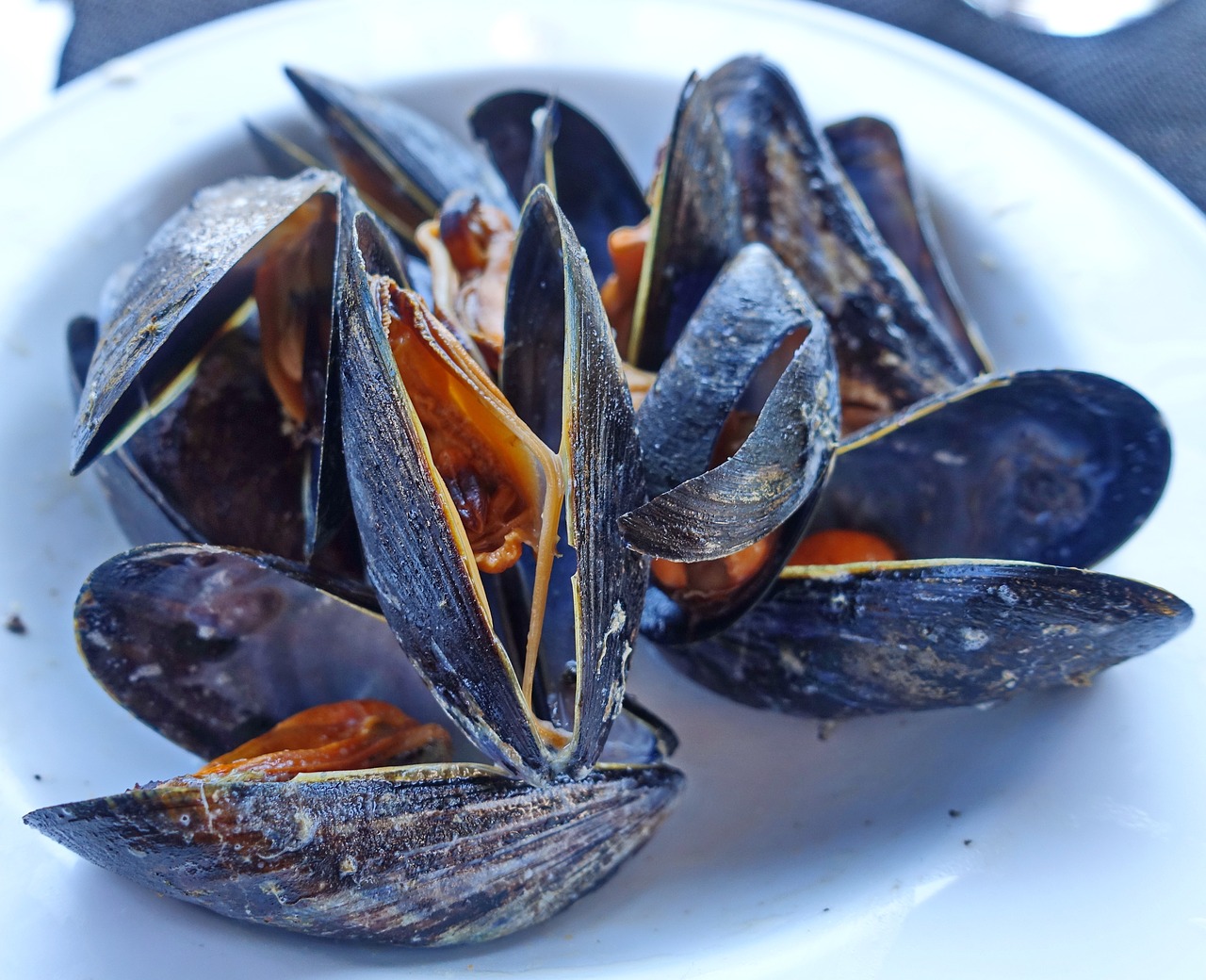 Image - mussels steamed seafood delicacy