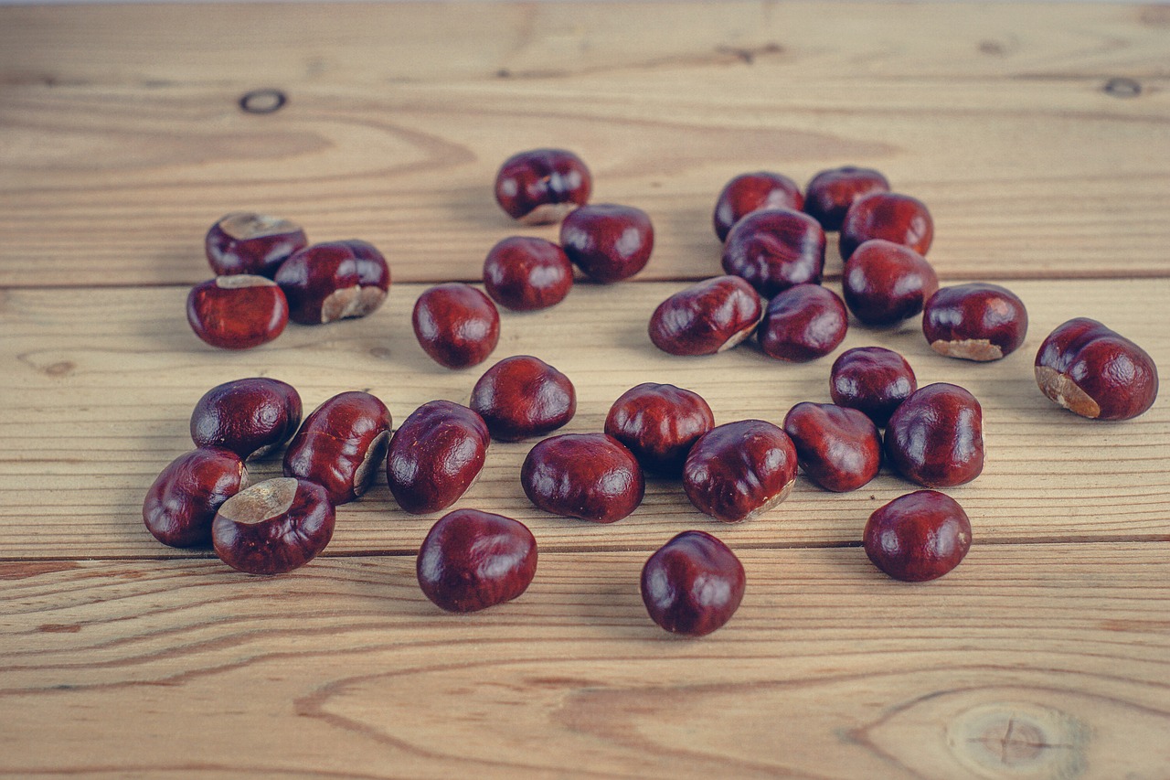 Image - chestnuts autumn boards