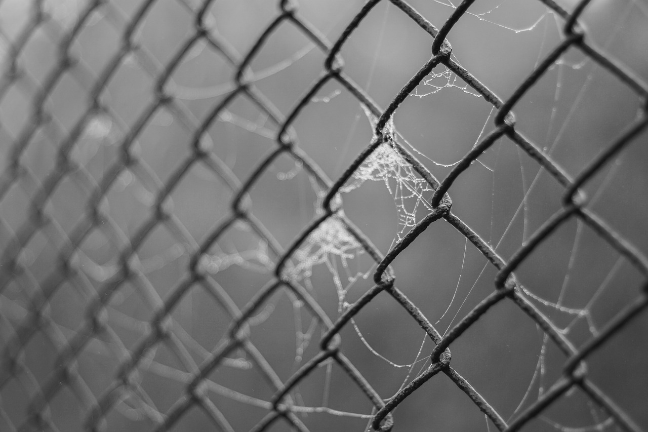 Image - the grid fencing wire cobweb