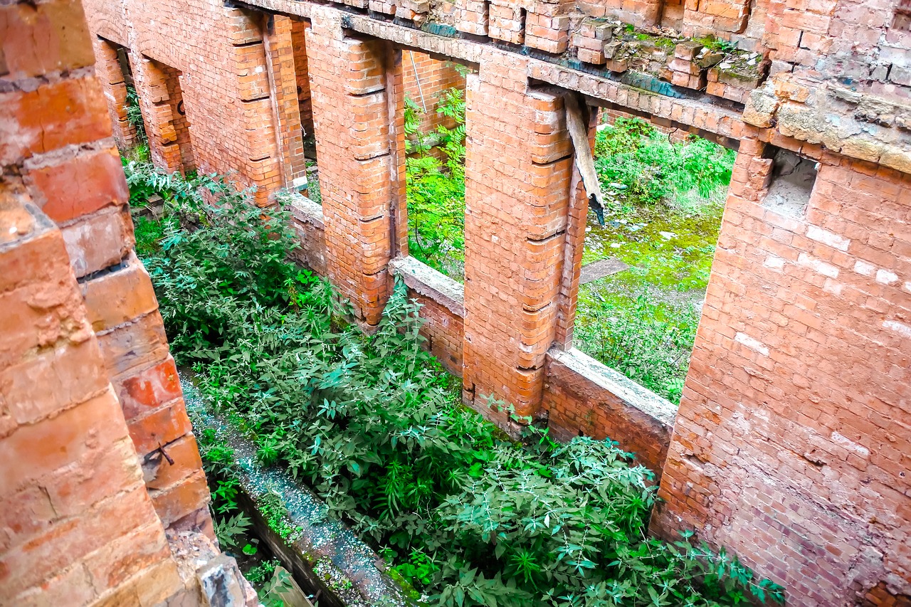 Image - st crispins asylum hospital