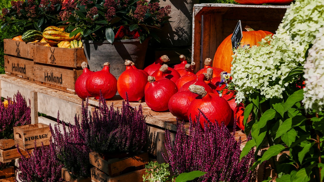 Image - fall pumpkin autumn garden flowers