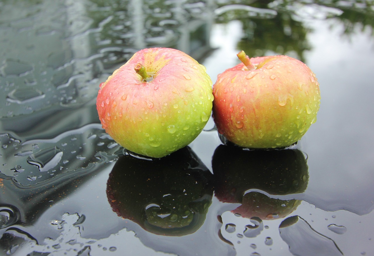 Image - apples rain garden juicy ripe