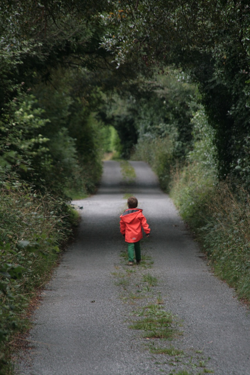 Image - child away alone walk forest path