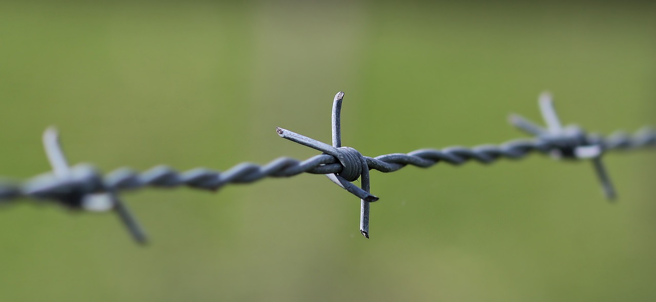 Image - barbed wire pasture fence fence