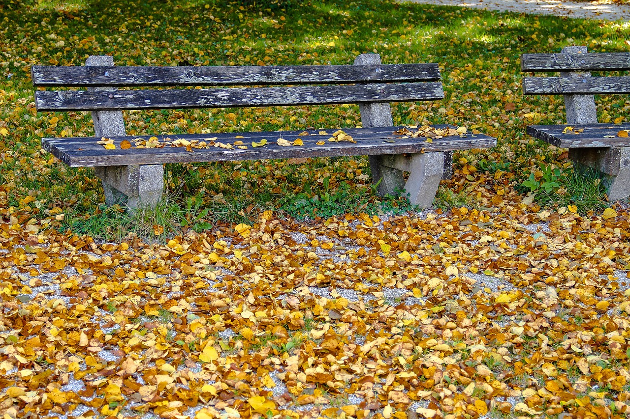 Image - autumn bank leaves rest