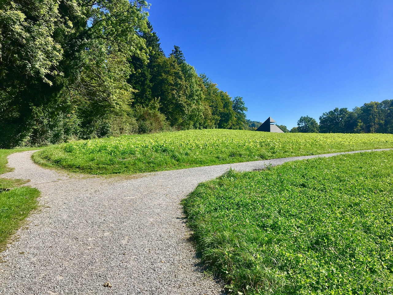 Image - rumensee nature meadow zurich