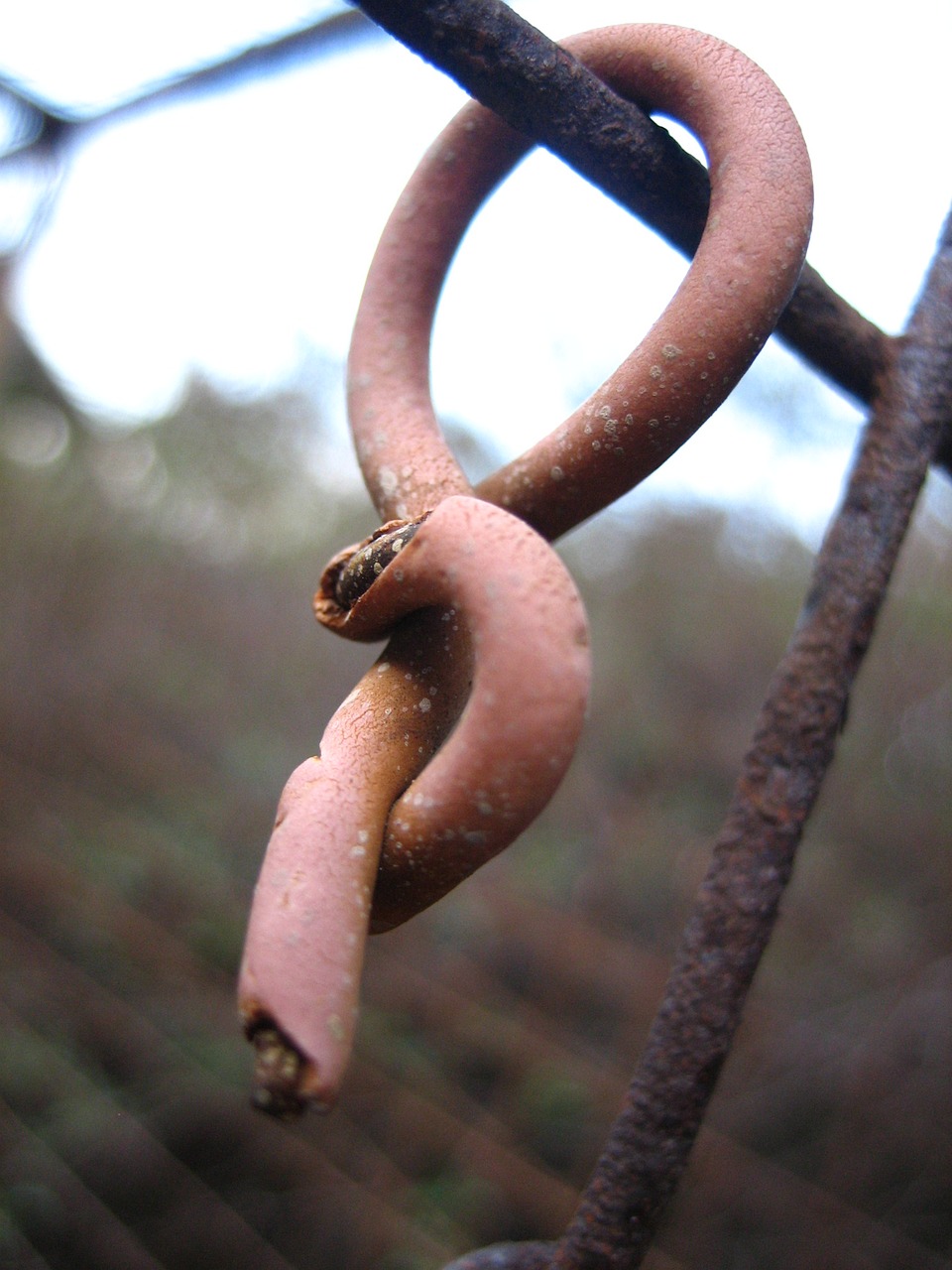 Image - fence rust closeup wire rusted