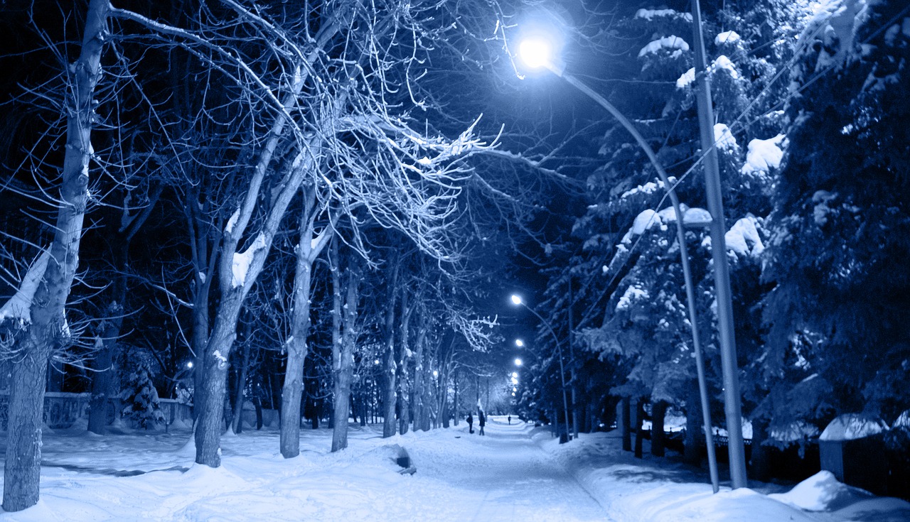 Image - night snow frost cold trees