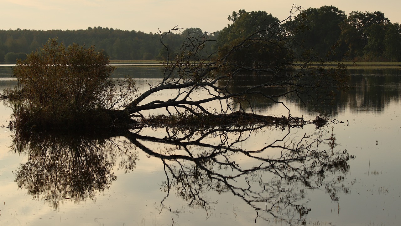 Image - nature landscape evening flood