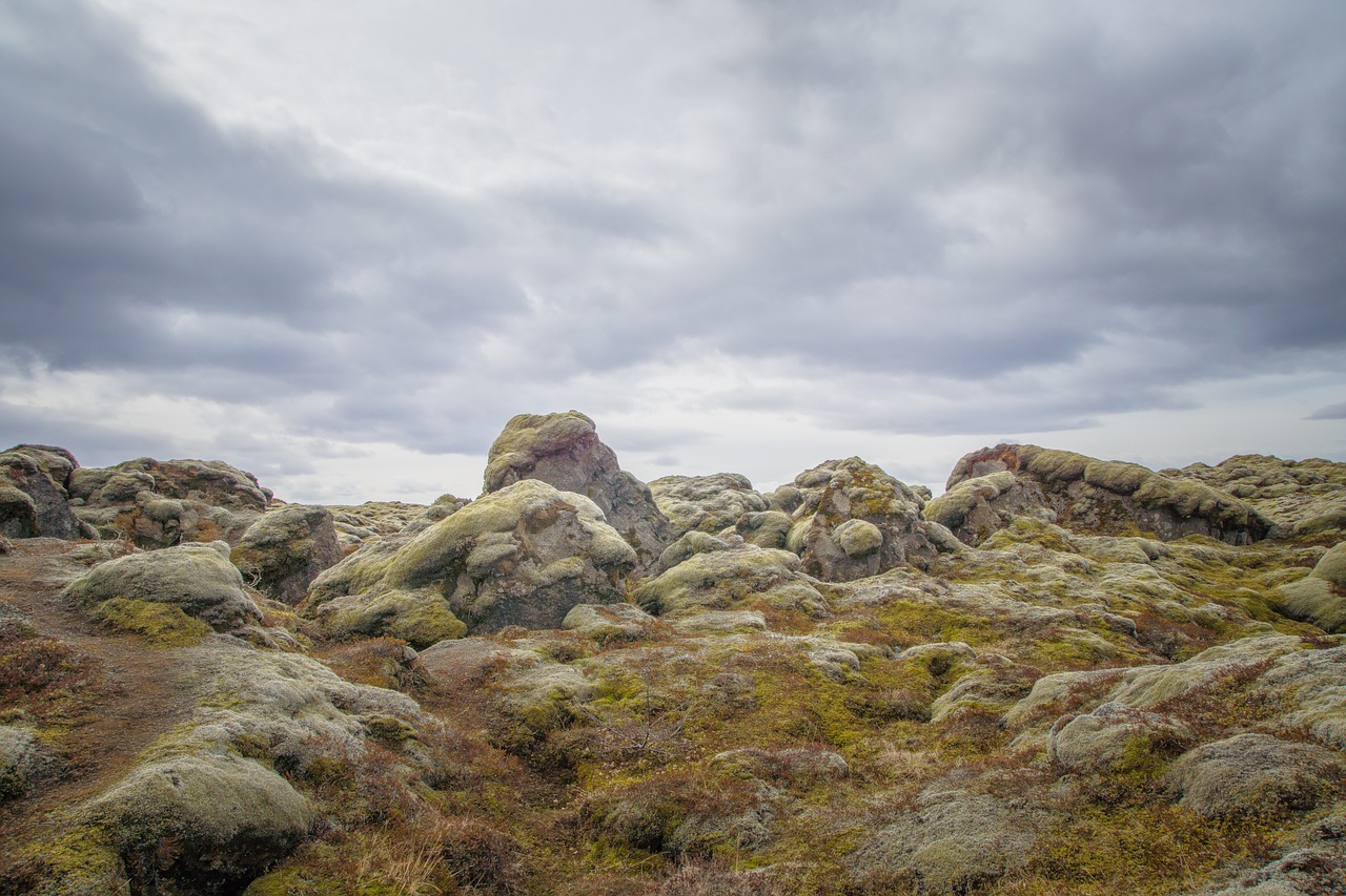 Image - moss rock iceland nature stone