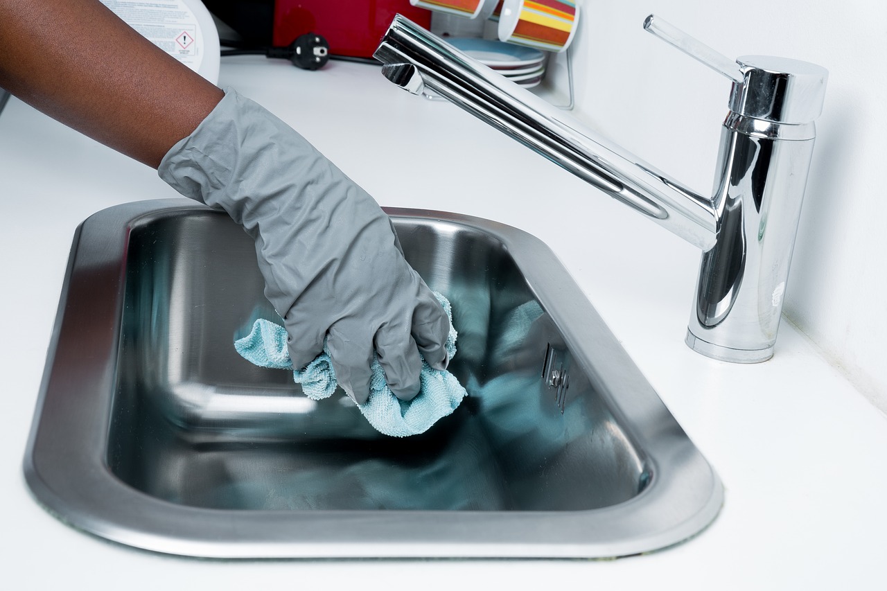 Image - cleanliness maid maintains cleaning